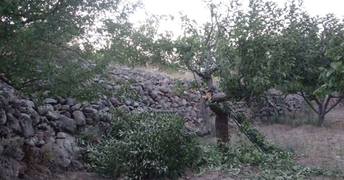 92 yaşında ağaçtan düşerek hayatını kaybetti