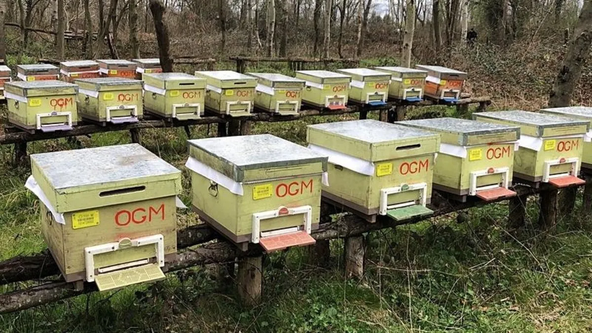 Düzce’de orman köylülerine destek