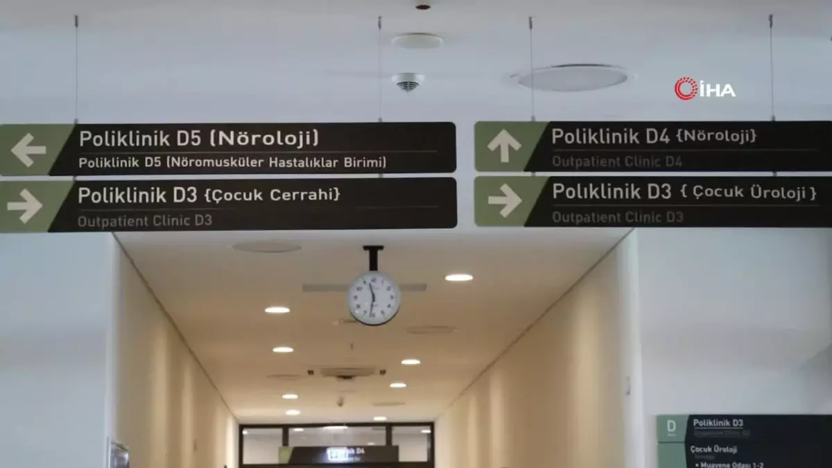 Fiziksel Aktivite ve Akdeniz Diyeti Alzheimer’ı Engelliyor