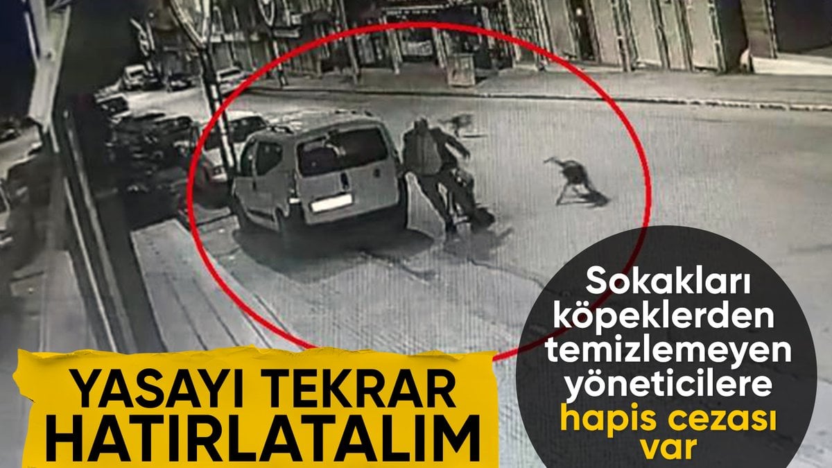 Ordu’da sokak köpekleri yoldan geçen adama saldırdı