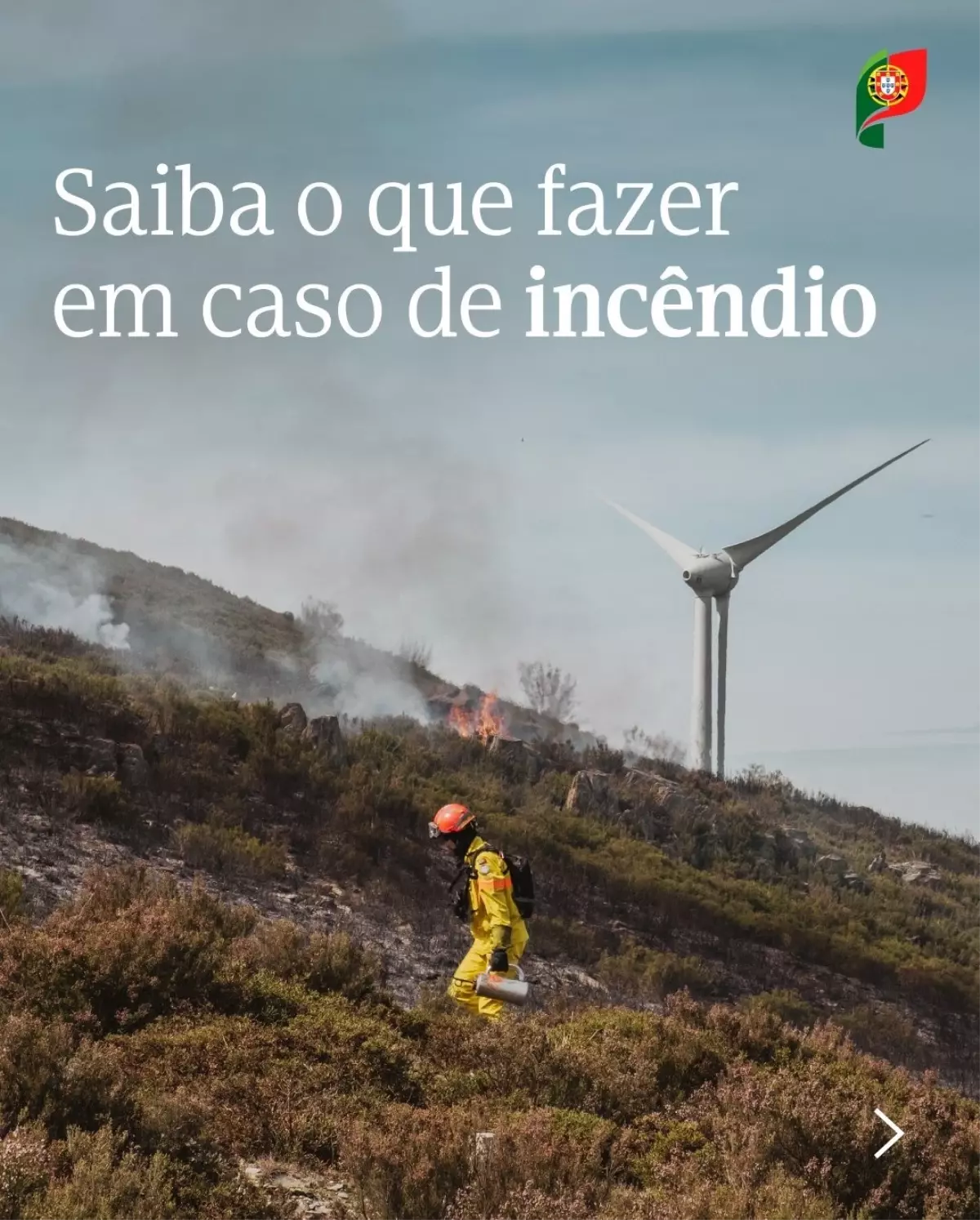 Portekiz’de Orman Yangınları Sebebiyle Yas İlan Edildi