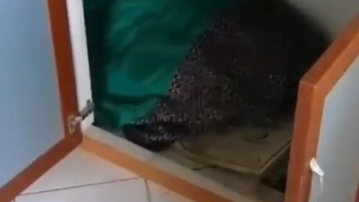 Samsun’da ilginç anlar: 9 yıl aranması olan şahıs mutfak tezgahı altında yakalandı!