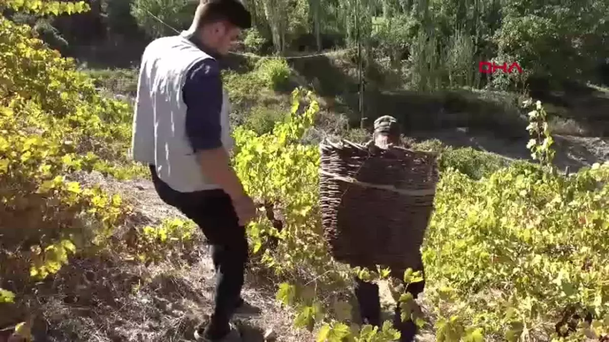 Hizan’da Geleneksel Pekmez Yapımı