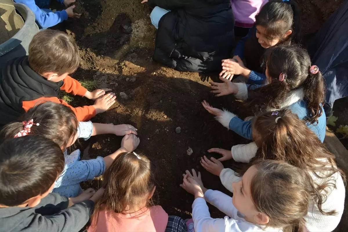 Tatvan’da Fidan Dikim Etkinliği