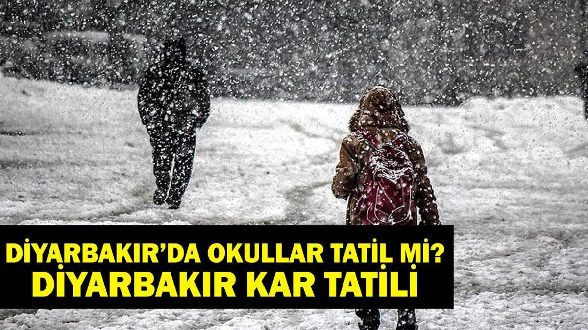DİYARBAKIR OKUL TATİL: 12 Şubat okullar tatil mi 2025 Diyarbakır? Diyarbakır Valiliği son dakika açıklaması