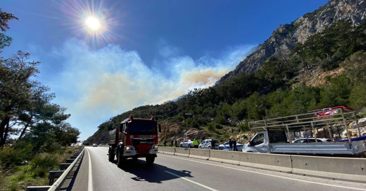 Kış ortasında orman yangını!