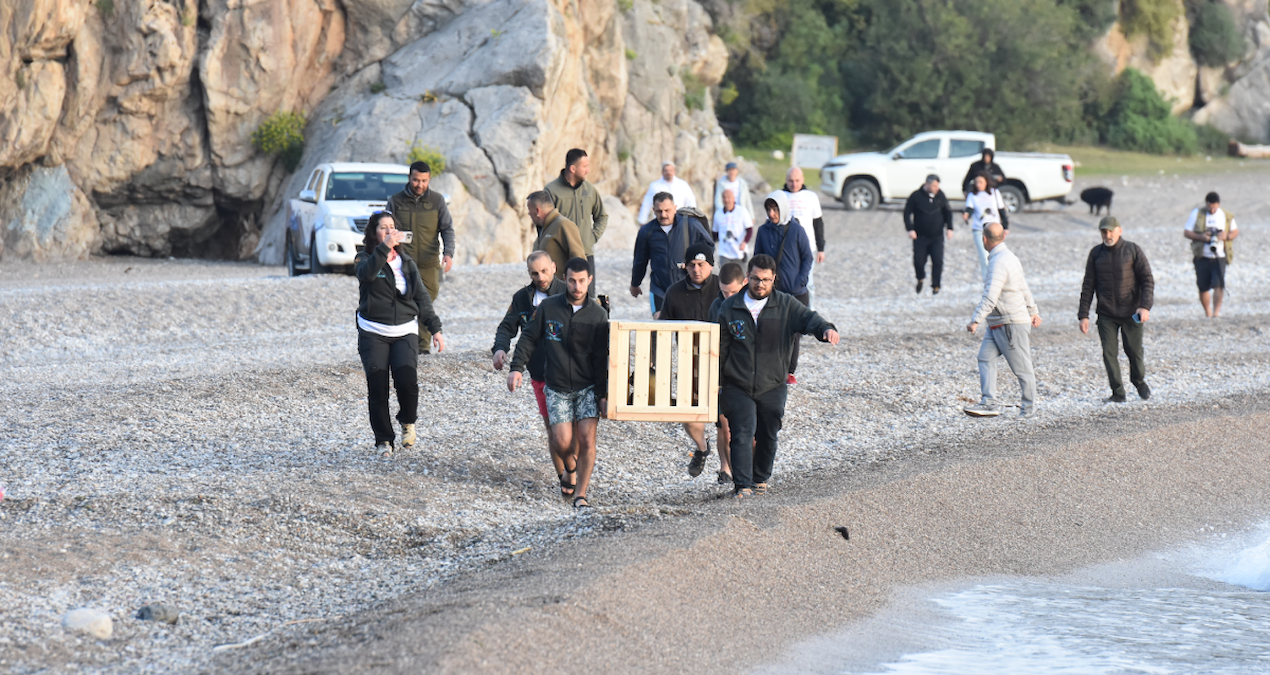 Fırtına sonrası bedeni kıyıya vurdu! Ölmek üzereyken kurtarıldı