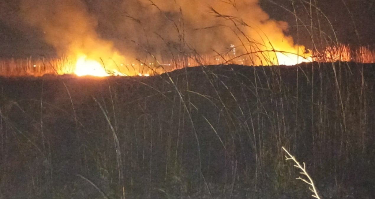 Hatay’da sazlık yangını! Ekipler hemen müdahale etti